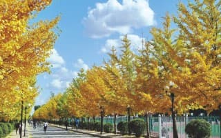 天柱山路