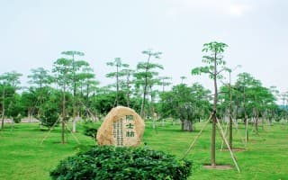 院土林