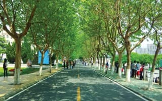 黄海校区青年路