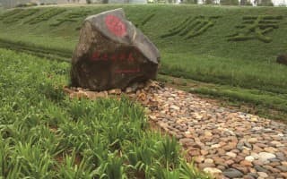 校园风光一角