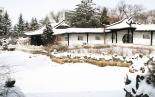 校园雪景