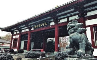 冬雪1