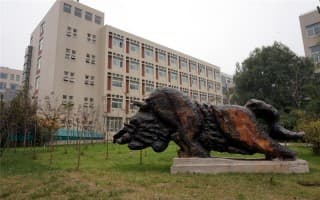 孺子牛