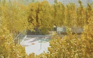 篮球场