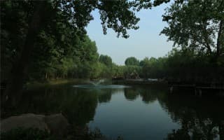 湿地公园