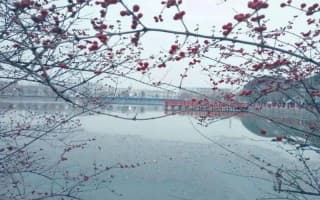 校园风光4