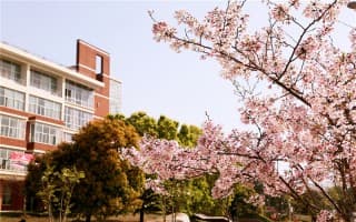 教学区之樱