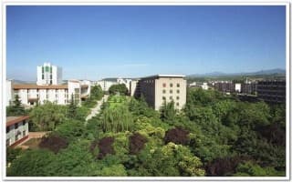 绿树成荫的校区