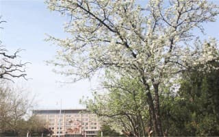 校园风光1