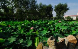 校园风光1