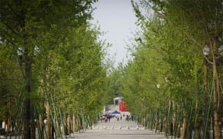 张澜大道