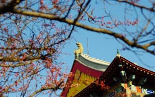 校园风光4
