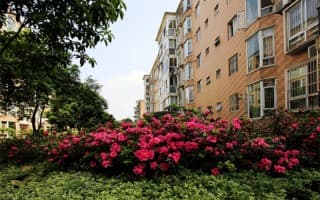 西南石油大学1