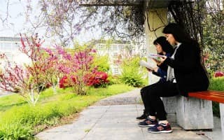 学生温习