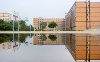 楼影迷踪