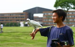 宁波大学白鹭