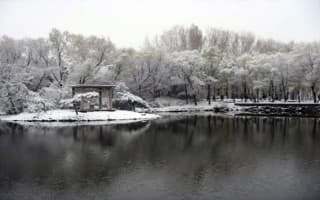 长春师范大学冬景