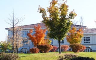 辽宁何氏医学院3
