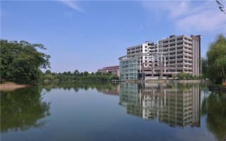 学校景色