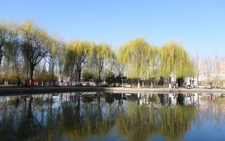 校园风光18