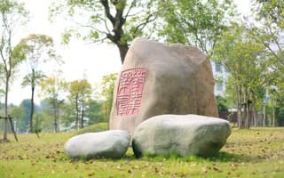 奉贤校区