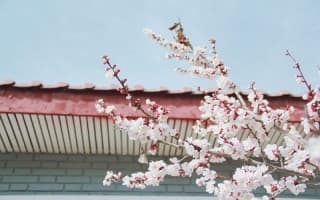 校园一角