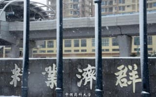 冬