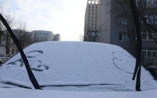 冬雪