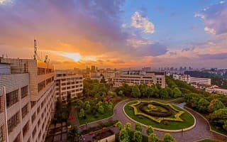 中心花园