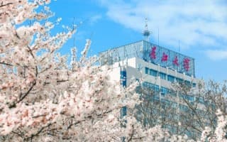 樱花和主楼