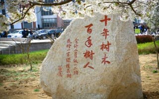 石