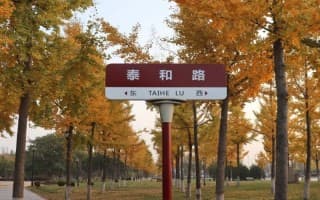 录标
