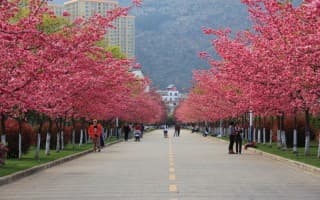 校园风光27