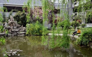 校园风光1