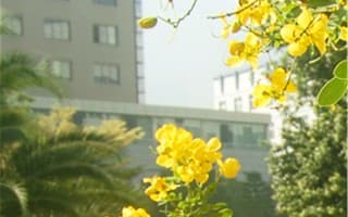 校园风景1