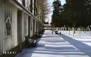 雪后医专