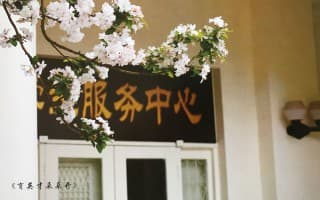 育英才朵朵开