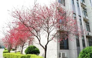 郑州工商学院--校园风光2