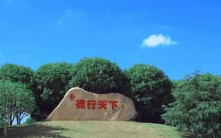 图片7