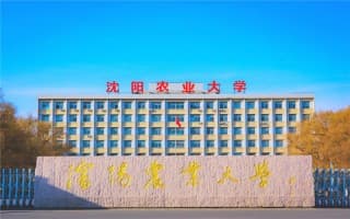 校门