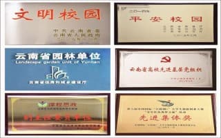图片5