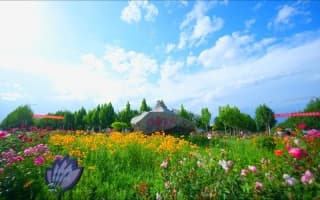 校园风景